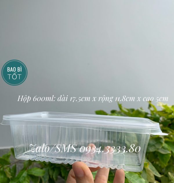 Hộp nhựa 600ml