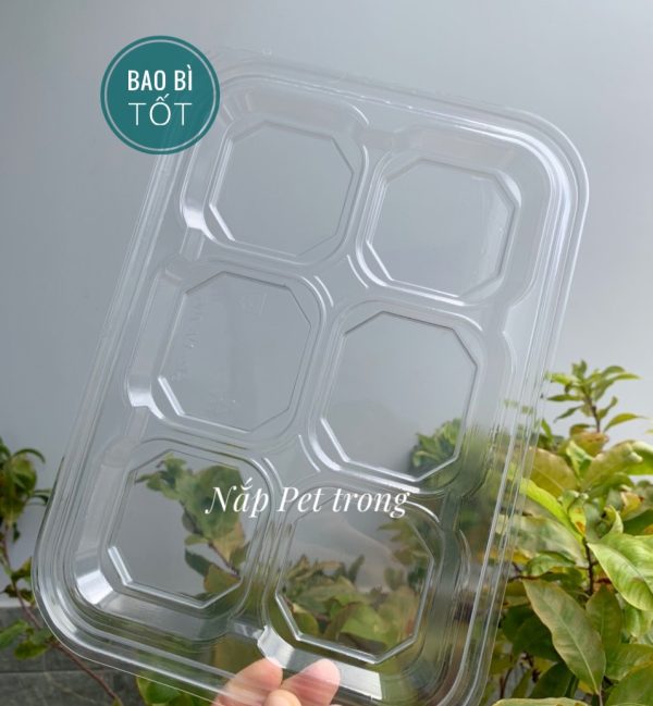 Nắp pet trong