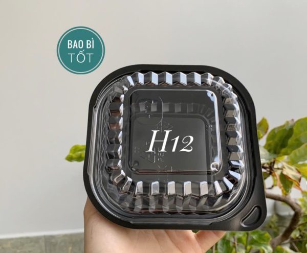Hộp nhựa đế đen HT12