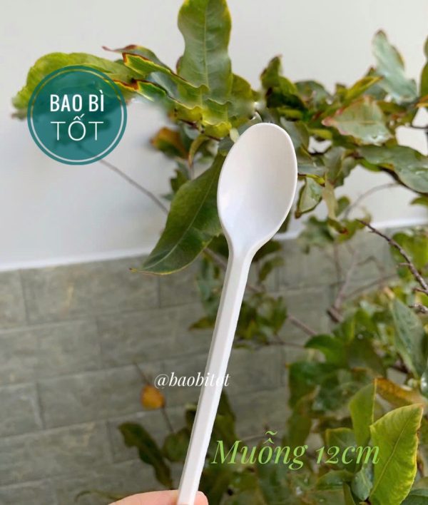 Muỗng nhựa 12cm