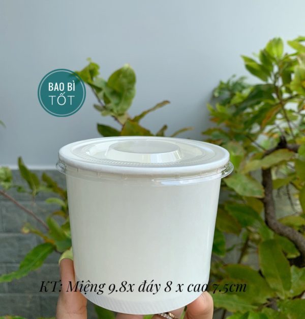 Tô giấy