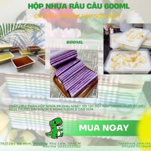 Hộp nhựa sọc THH 600ml